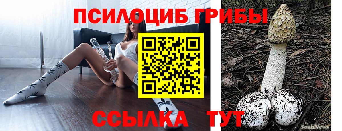 Дмитров  Псилоцибиновые грибы GOLDEN TEACHER  Вход с VPN  Галлюциногенные грибы Psilocybine cubensis 